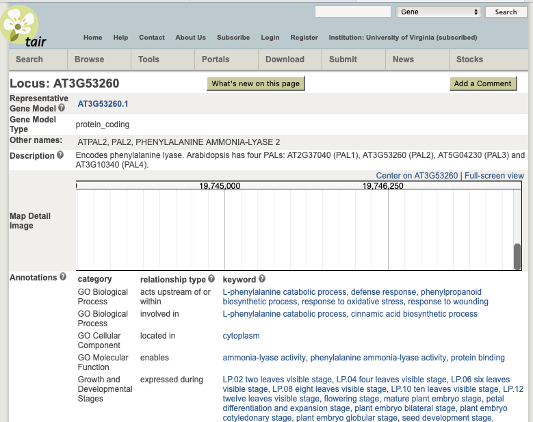 AT3G53260 page on arabidopsis.org