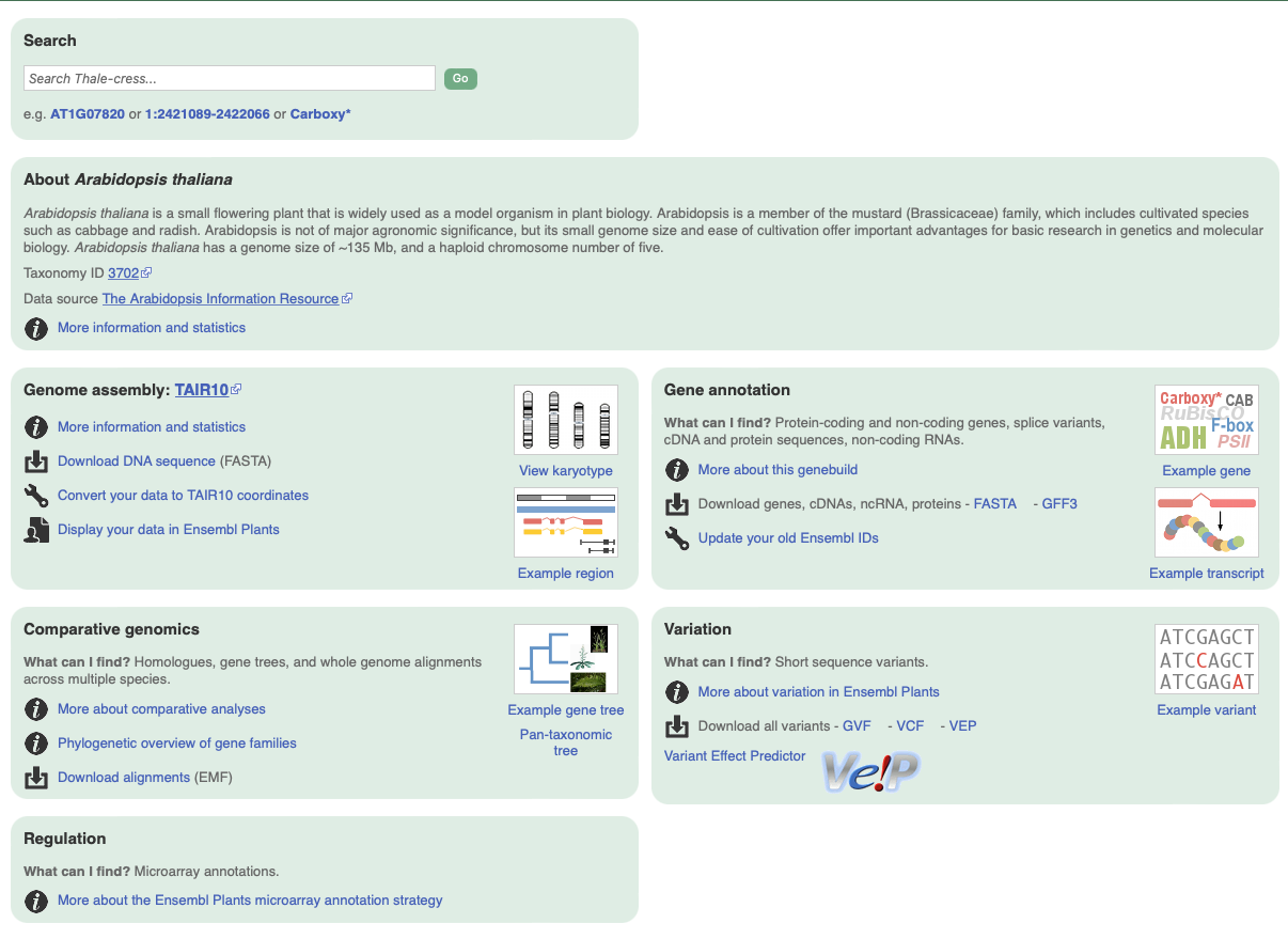 Portal of Ensembl for Arabidopsis